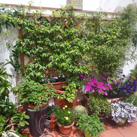 At Kalsa Quiet Flowered Terrace! Free Parking! Ideal For Remote Working! Palerme Extérieur photo